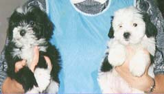 "Disneyland's Lovely Girl", "Disneyland's Lollipop Girl" (f.l.t.r.)