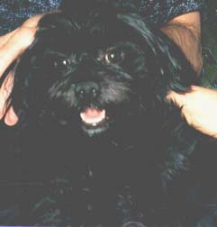 "Disneyland's X-Factor Black"